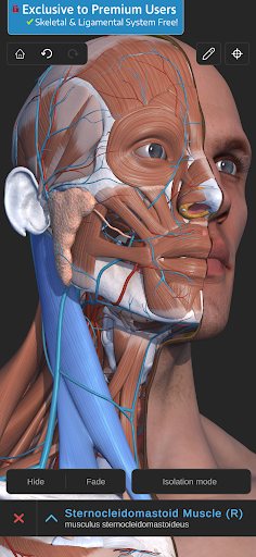 Visual Anatomy 3D - Human body PC