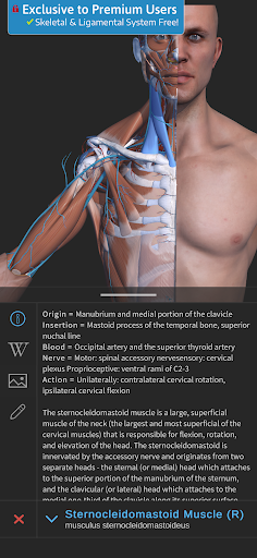 Visual Anatomy 3D - Human body PC