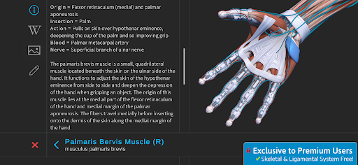 Visual Anatomy 3D - Human body PC