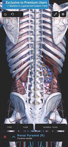 Visual Anatomy 3D - Human body PC