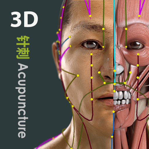 Visual Acupuncture 3D电脑版