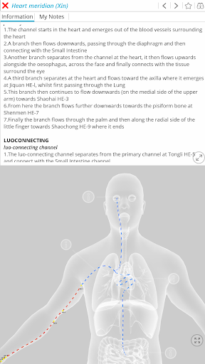 Visual Acupuncture 3D