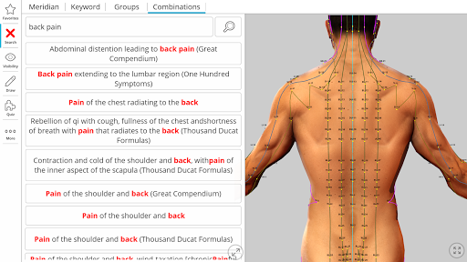 Visual Acupuncture 3D电脑版