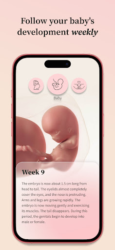 Preglife - Pregnancy Tracker PC