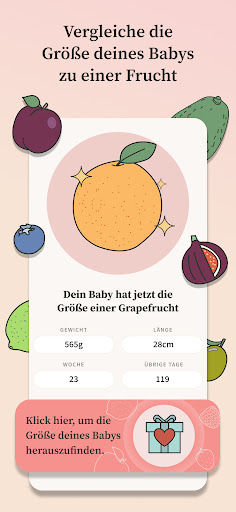 Preglife - Schwangerschaftsapp PC