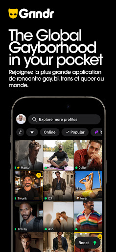 Grindr - social gay et le chat