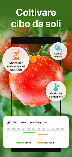 GrowIt: Cura dell'orto PC