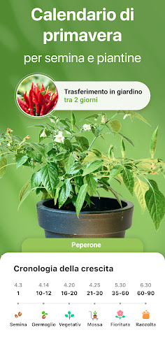 GrowIt: Cura dell'orto PC