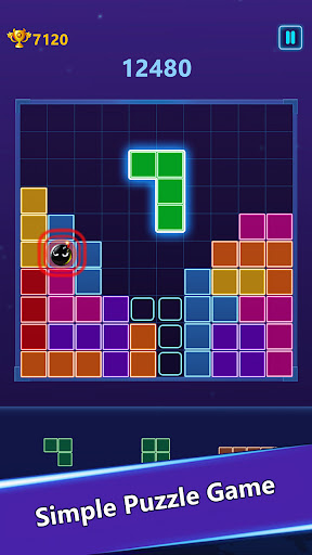 Color Puzzle Game PC