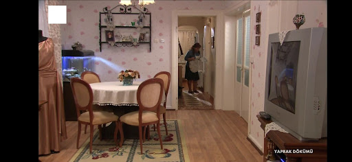 Güneş Tv (Canlı TV - Radyo) PC