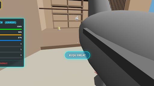 GÜVERCİN KÜMESİ 3D