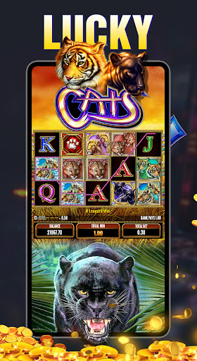 Wild Slot - JACKPOT Casino PC