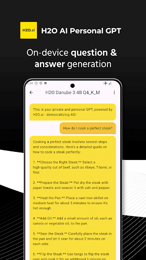 H2O AI Personal GPT پی سی