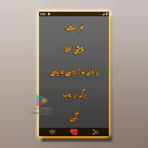 حکیم لقمان - نسخوں کی کتاب پی سی