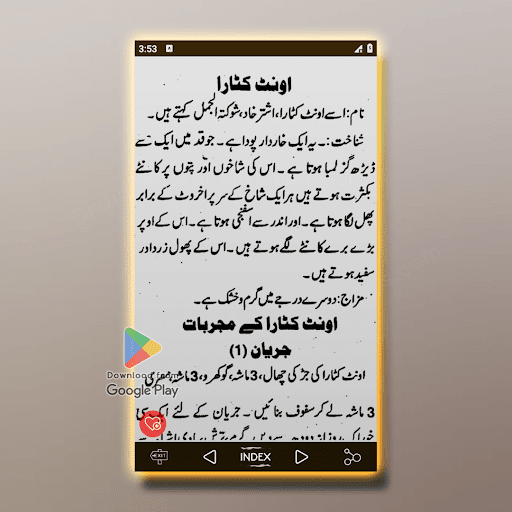 حکیم لقمان - نسخوں کی کتاب پی سی