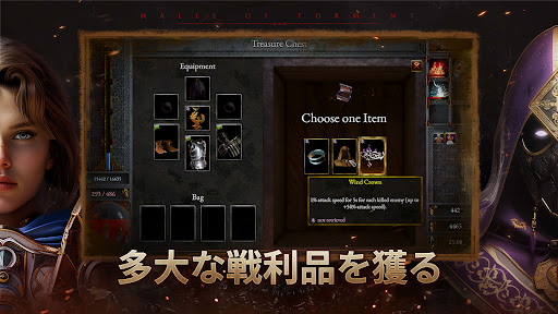 Halls of Torment: Premium PC版