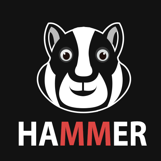Hamer Hamster Secure VPN proxy পিসি