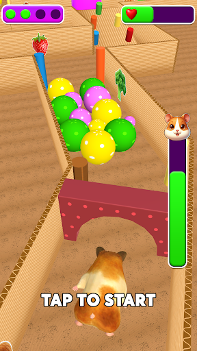 Hamster: Pet Care Salon