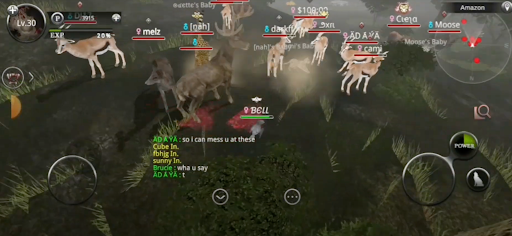 Wild Animals Online(WAO)