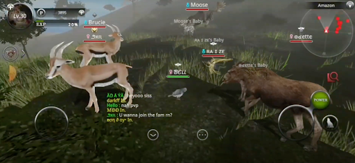 Wild Animals Online(WAO)