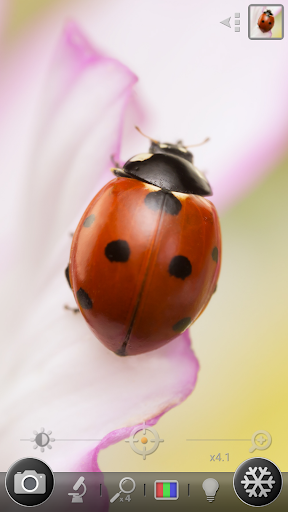 Lupa & Microscopio