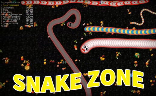 Snake Zone : Worm.io PC