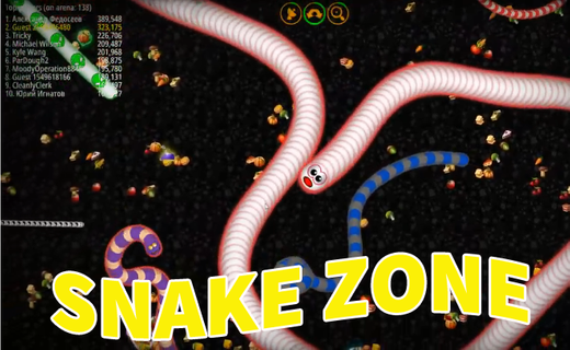 Snake Zone : Worm.io