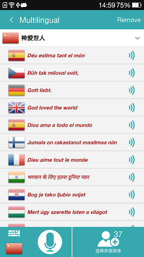 Voice Vertalen PC
