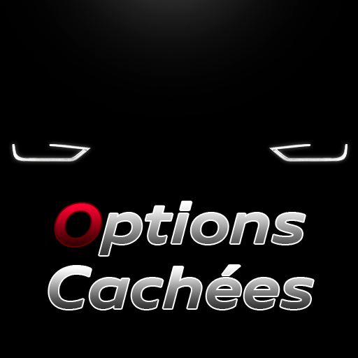 Options Cachées - VAG Coding PC