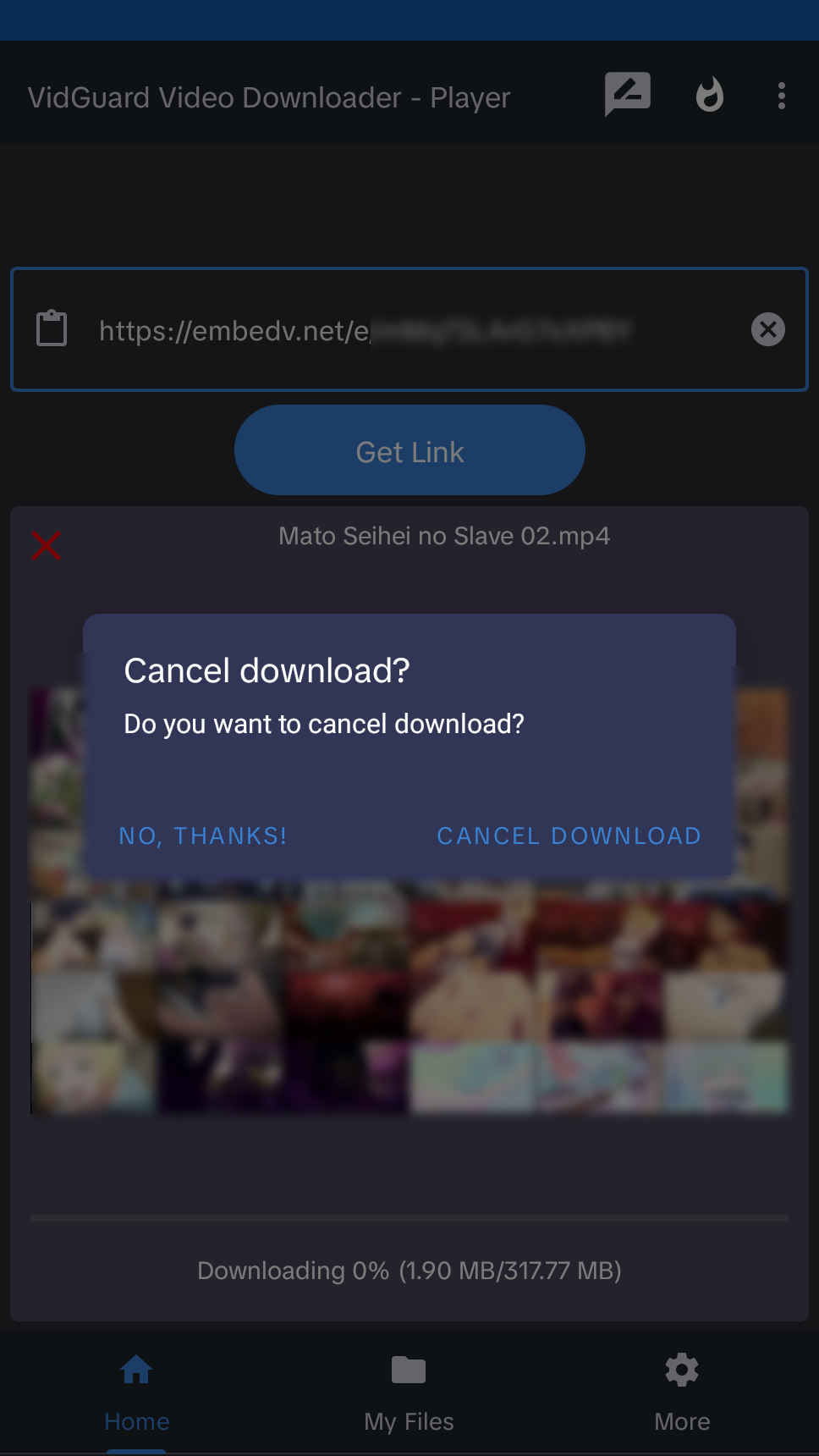 VidGuard Video Downloader PC