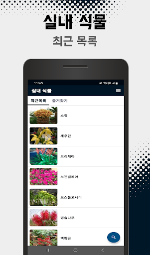 실내 정원용 식물 정보 PC