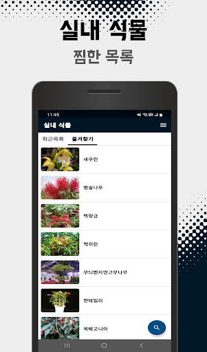 실내 정원용 식물 정보 PC