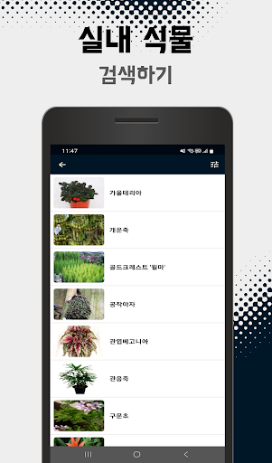 실내 정원용 식물 정보 PC