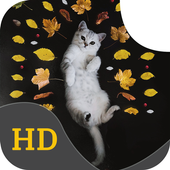 Cute Cat Wallpapers HD PC