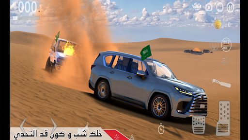 ملك الرمال الحاسوب