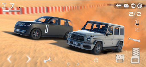 ملك الرمال الحاسوب