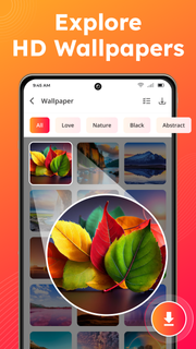Video Downloader App PC