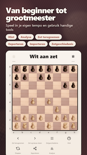 Schaken Pro: AI & 2 spelers PC