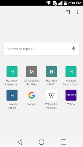 Hexnode Kiosk Browser PC
