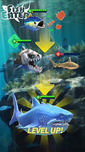 Hungry Fish Eat And Grow 3D Mod apk [Unlocked] download - Hungry Fish Eat  And Grow 3D MOD apk 1.2 free for Android.