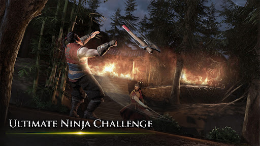 Takashi Ninja Samurai Game PC