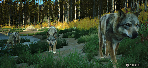 Way of the Hunter Wild America電腦版