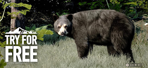 WOTH Wild America: Try and Buy