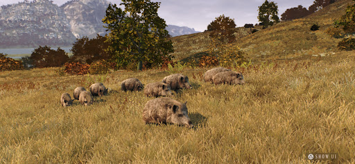 WOTH Europe: Try & Buy PC