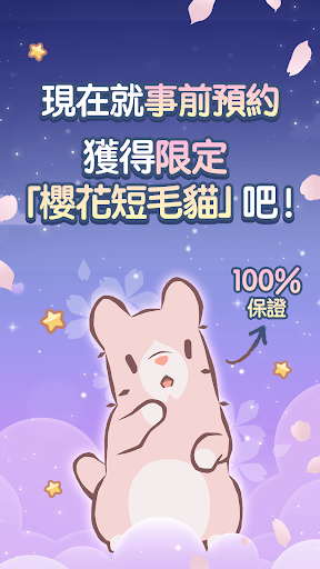 Cats & Soup : Magic Recipe