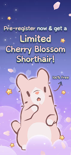 Cats & Soup : Magic Recipe