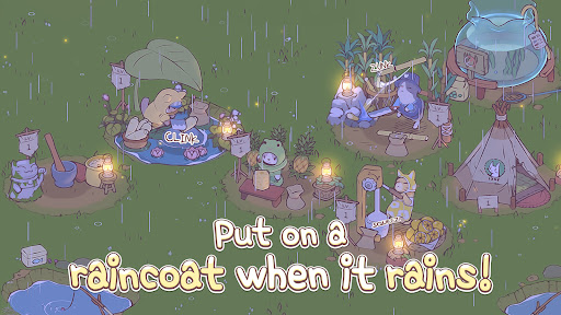 Cats & Soup