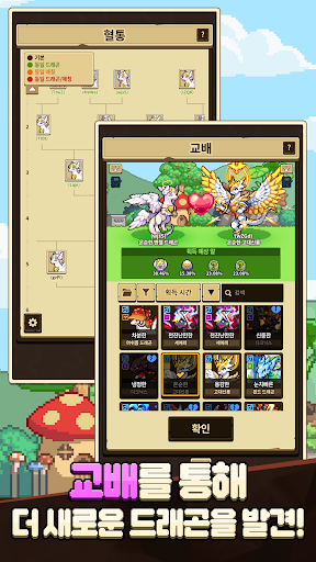 드래곤빌리지 컬렉션 PC
