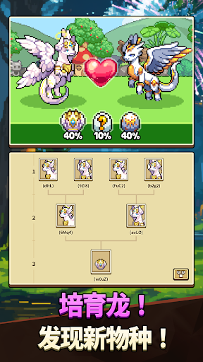 Dragon Village Collection