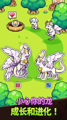 Dragon Village Collection